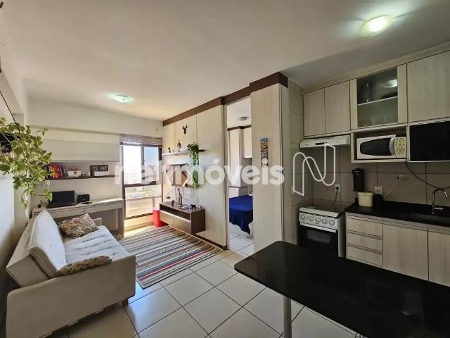 Apartamento aluguel em Região Geográfica Imediata do Distrito Federal, Região Integrada de Desenvolvimento do Distrito Federal e Entorno