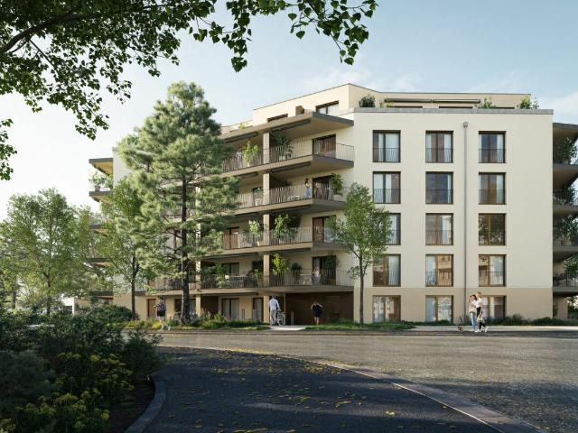 Apartment mieten in Einigen, Zürich