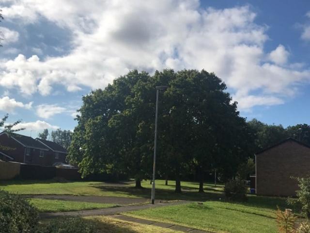 Flat for rent in Seaton Delaval, Seaton Valley