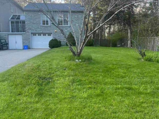 Apartment for rent in York, Ontario
