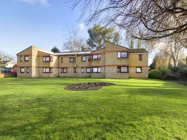 Flat for rent in Petersfield, Cambridge