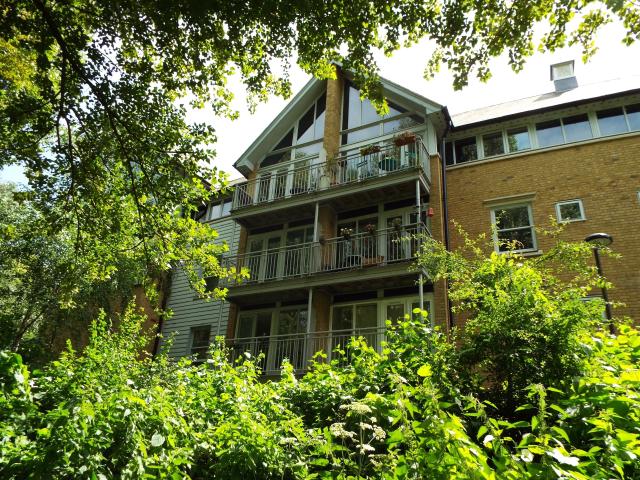 Flat for rent in Canterbury, Wincheap