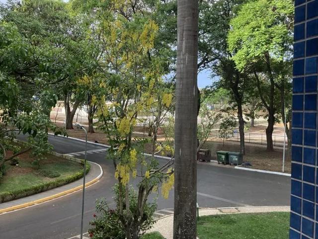 Apartamento aluguel em Região Geográfica Imediata do Distrito Federal, Região Integrada de Desenvolvimento do Distrito Federal e Entorno
