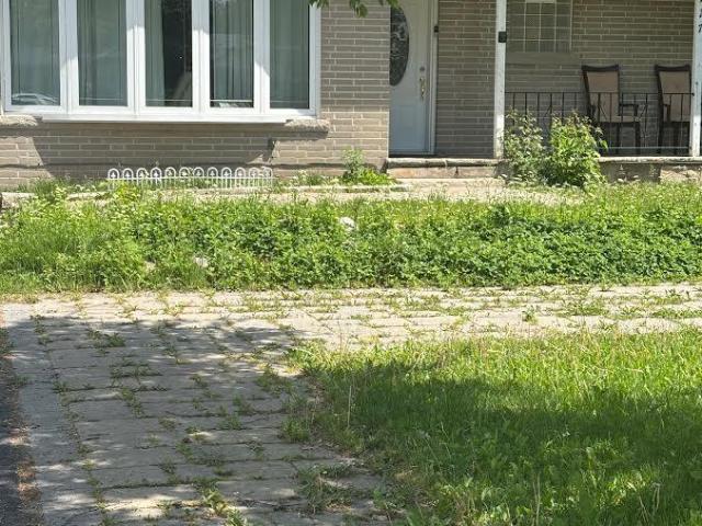 House for rent in York, Ontario