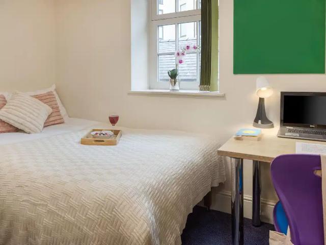 Room for rent in Castle and Priory Precinct, Bare