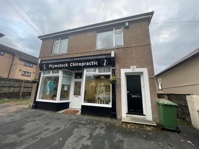 Flat for rent in Staddiscombe, Mount Wise