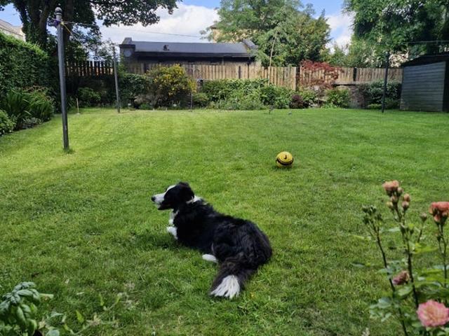Flat for rent in Prestonfield, Scotland