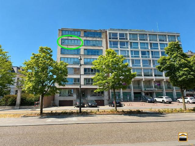 Appartement location à Hasselt