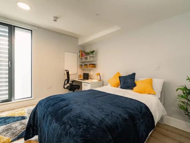 Room for rent in Falmouth, Cornwall