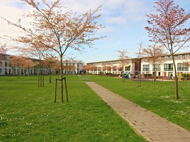 Appartement te huur in Zuid Holland