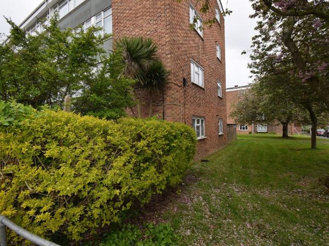 Flat for rent in Heigham Grove, East Bank