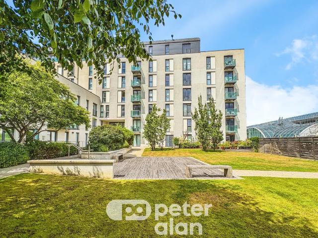 Flat for rent in City Centre, Falcon Lodge