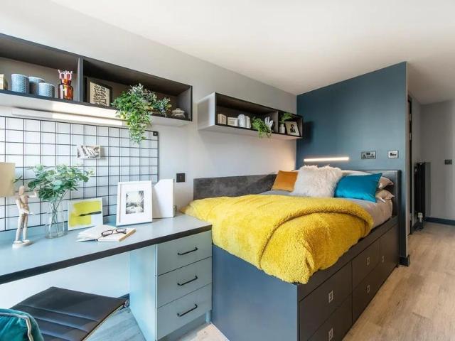 Flat for rent in Newtown, Falcon Lodge