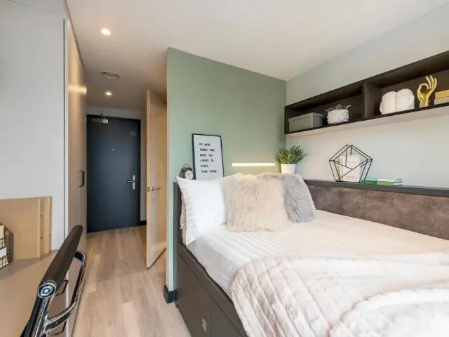Flat for rent in Newtown, Falcon Lodge