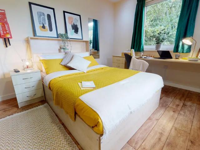 Room for rent in Upper Bangor, Bangor