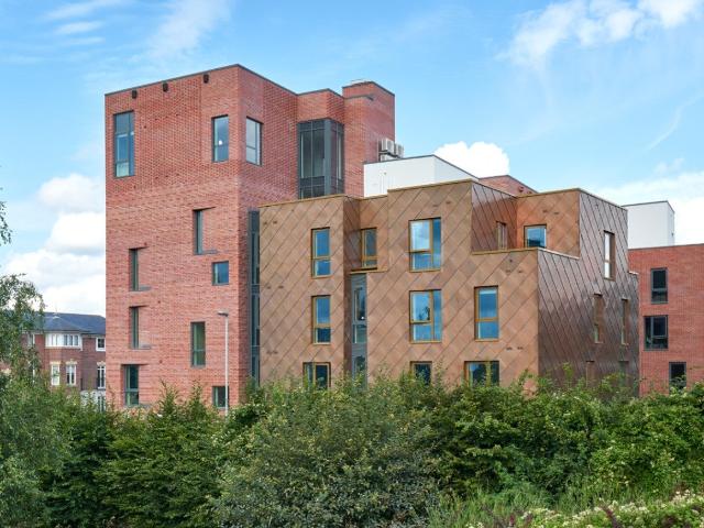 Flat for rent in Newtown, Two Mills