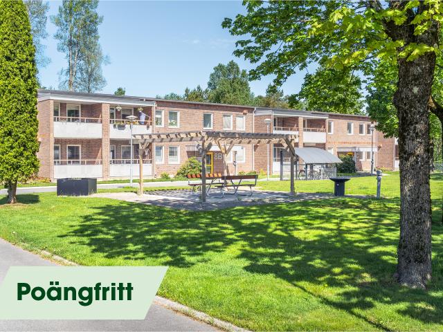 Lägenhet hyra i Ledsgård, Forsheda