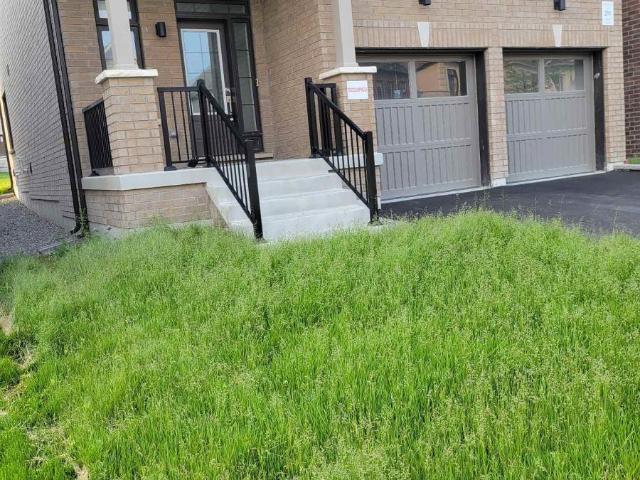 House for rent in Clarington, Ontario