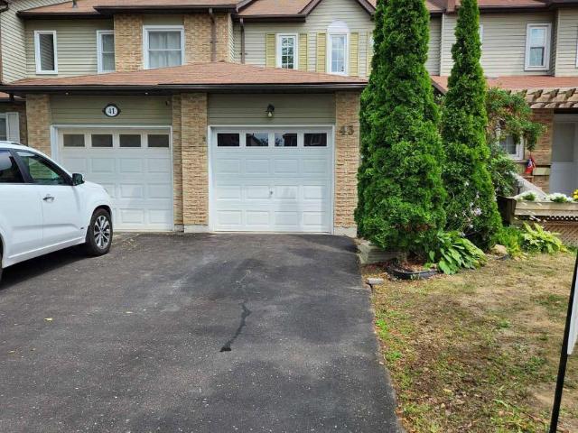 Apartment for rent in Courtice Apartment for rent in Courtice