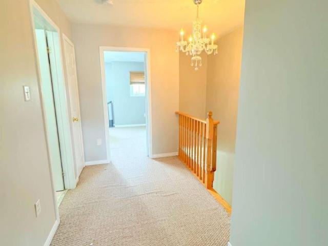 Apartment for rent in Whitby