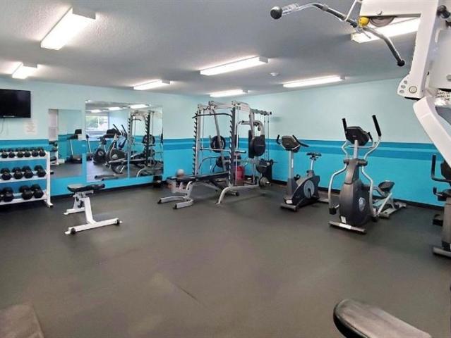 Apartment for rent in Hamilton