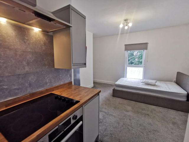 Flat for rent in Mount Pleasant, Swansea