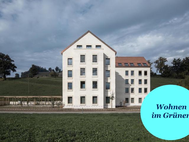 Apartment mieten in Lü