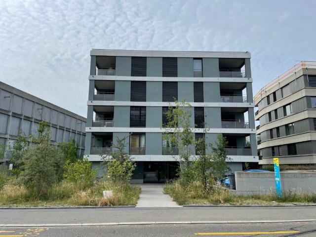 Apartment mieten in Einigen, Zürich