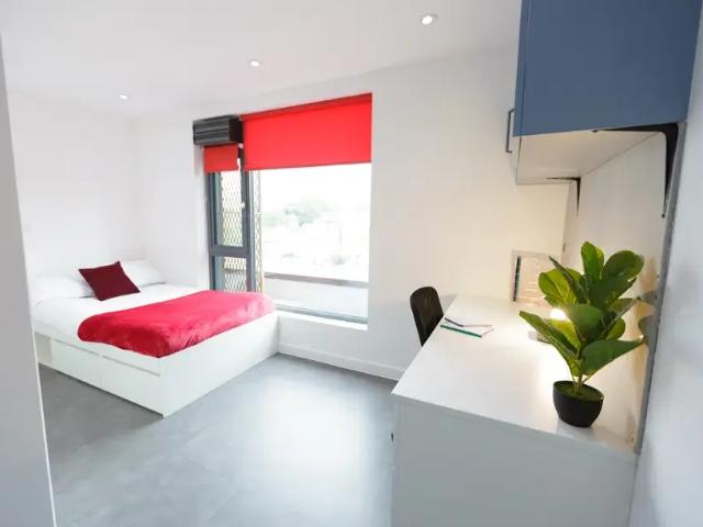 Room for rent in London Borough of Lewisham, New Cross