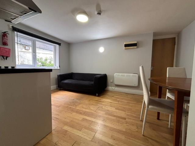 Flat for rent in Plasnewydd, Falcon Lodge