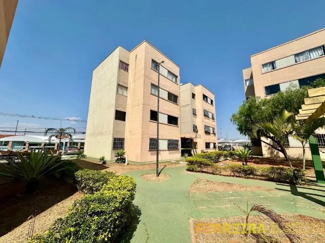 Apartamento aluguel em Quadras Norte, Riacho Fundo II