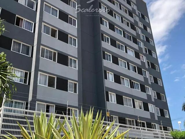 Apartamento aluguel em Samambaia Sul, Samambaia