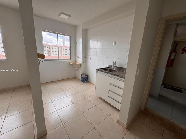 Apartamento aluguel em Santa Cruz, São Luís