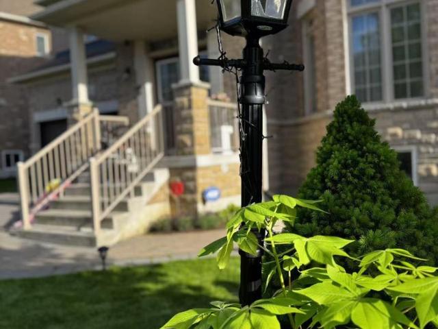 Apartment for rent in York, Ontario