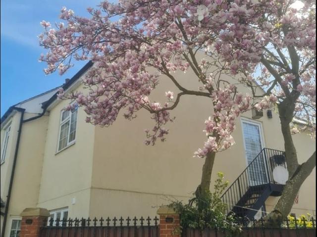 Flat for rent in London Borough of Hounslow, Greater London