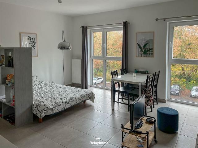 Kot location à Brunehaut, Wallonie