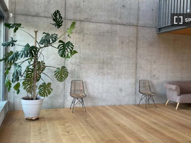 Apartment mieten in Treptow–Köpenick, Berlin