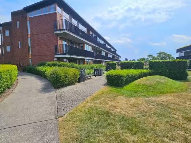 Apartment to rent