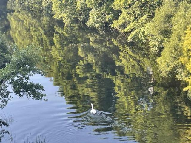 Apartment to rent in Bluebell, North Tipperary