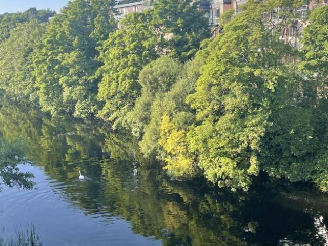 Apartment to rent in Bluebell, North Tipperary