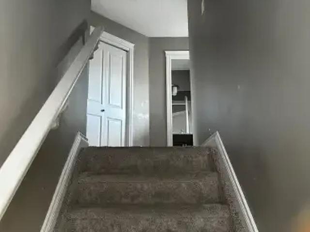 Apartment for rent in Wedgewood, Alberta