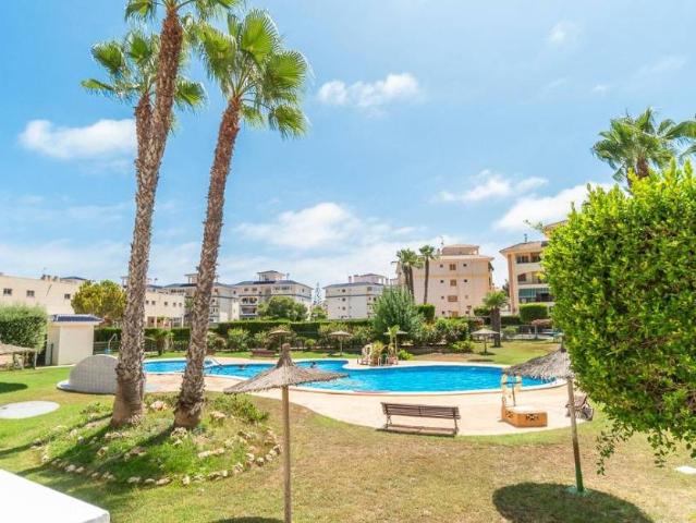 Apartamento en alquiler en La Mata, el Baix Segura / La Vega Baja