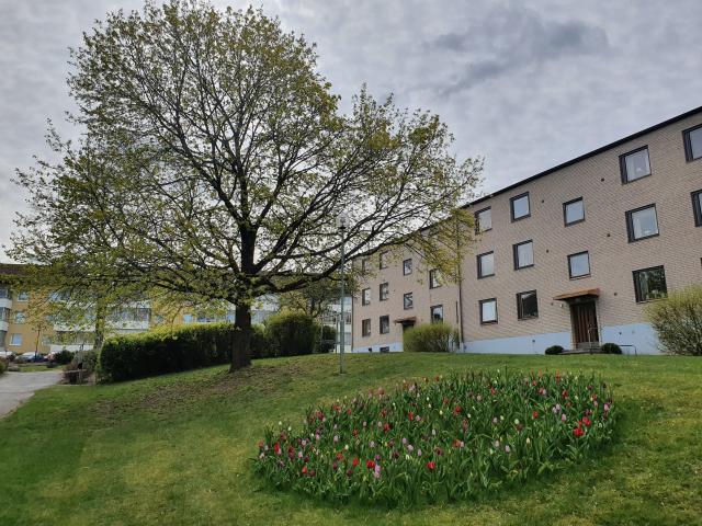 Lägenhet hyra i Borås, Västra Götaland