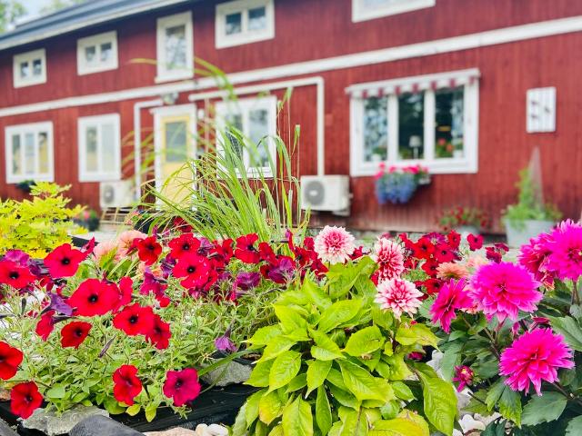 Lägenhet hyra i Dalarna