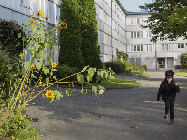 Lägenhet hyra i Göteborg, Västra Götaland