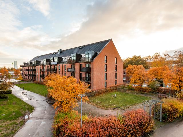 Lägenhet hyra i Halmstad, Halland