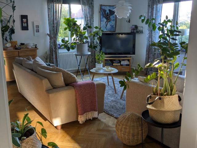 Lägenhet hyra i Halmstad, Halland