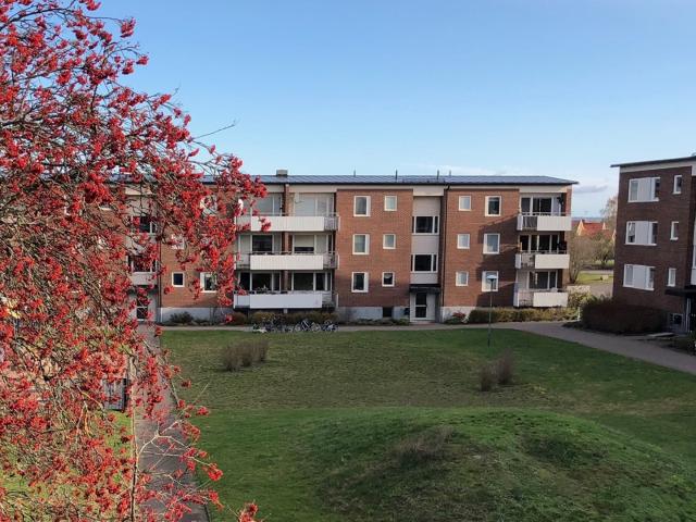 Lägenhet hyra i Kalmar