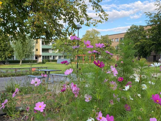 Lägenhet hyra i Malmö, Skåne