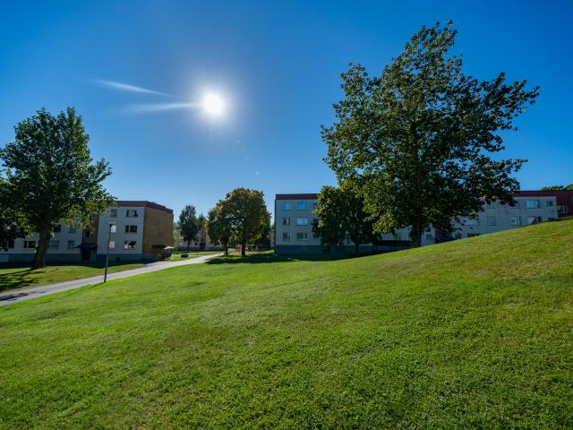 Lägenhet hyra i Motala, Östergötland